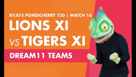 Lions XI vs Tigers XI