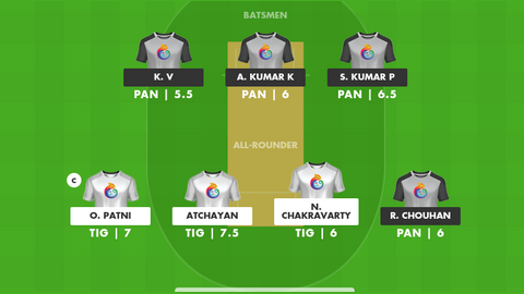 Tigers XI vs Panthers XI